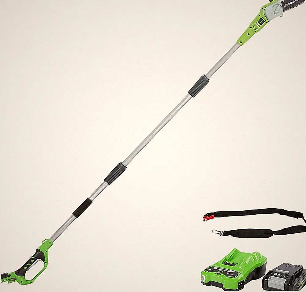 24V Akku Hochentaster 20cm Greenworks G24PS20K2 mit 2Ah Batterie und Ladegerät