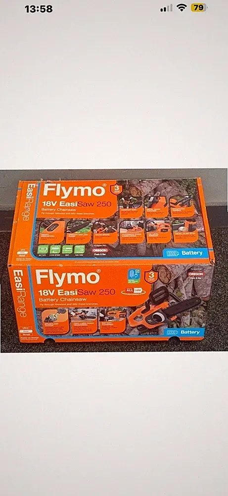 Flymo 18V EasiSaw 250 4.0 Akku Kettensäge Set
