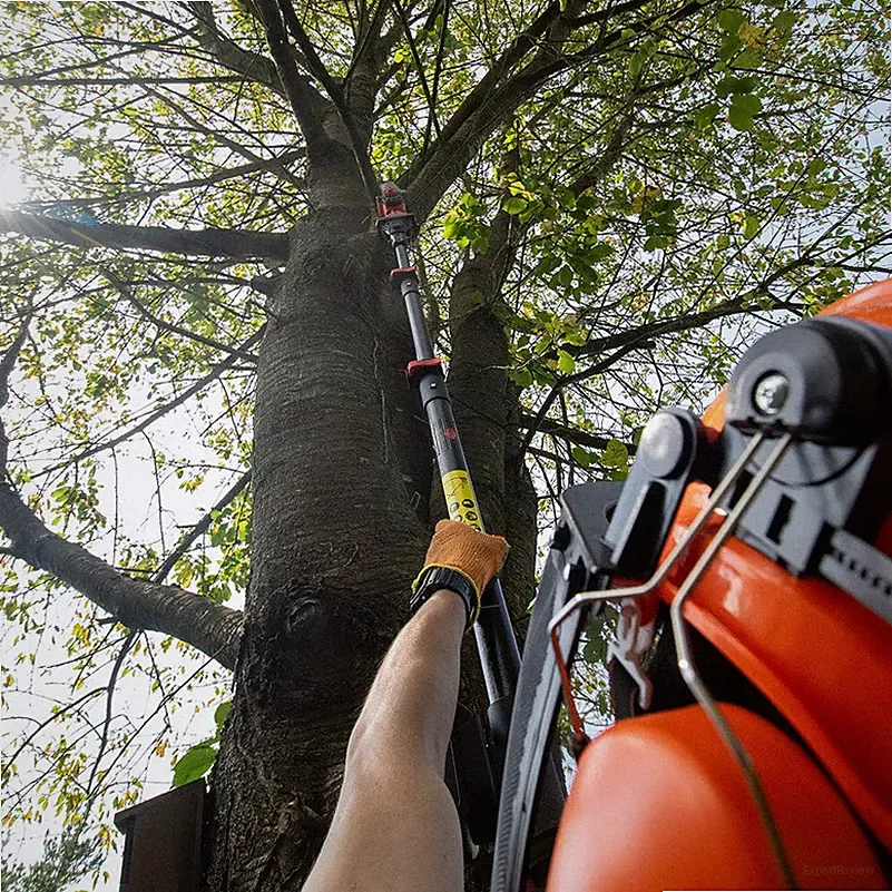 Forest Master 6′′ Akku Mini Kettensäge 20V – leicht, leistungsstark, mühelos