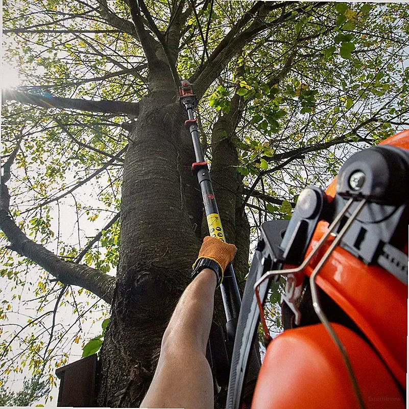 Forest Master 6′′ Akku-Mini-Kettensäge 20V – leicht, präzise & leistungsstark