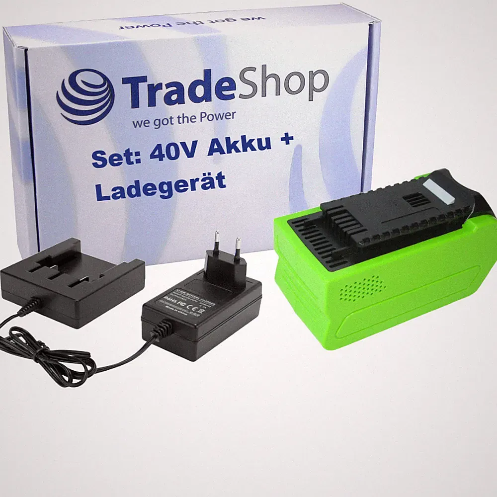Li-Ion Akku 40V 3Ah + Ladegerät passend zu Greenworks 20672 Hochentaster 22cm