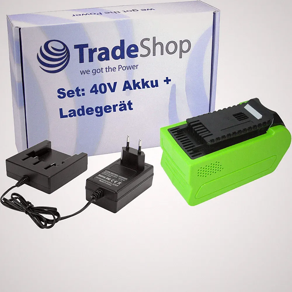 Li-Ion Akku 40V 4Ah + Ladegerät passend zu Greenworks 20672 Hochentaster 22cm