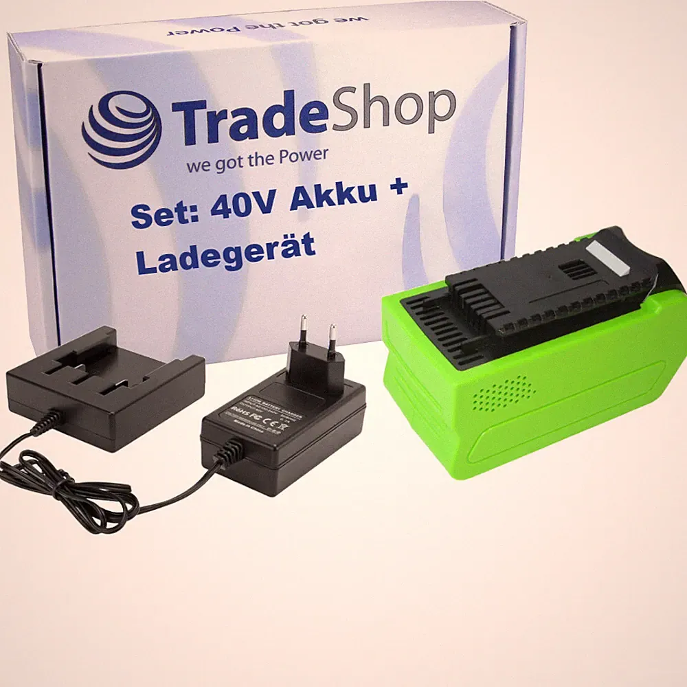 Li-Ion Akku 40V 5Ah + Ladegerät passend zu Greenworks 20672 Hochentaster 22cm