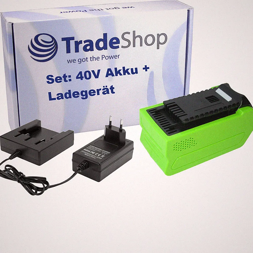 Set: Akku 40V 4000mAh + Ladegerät passend zu Greenworks 20302 Hochentaster 20cm