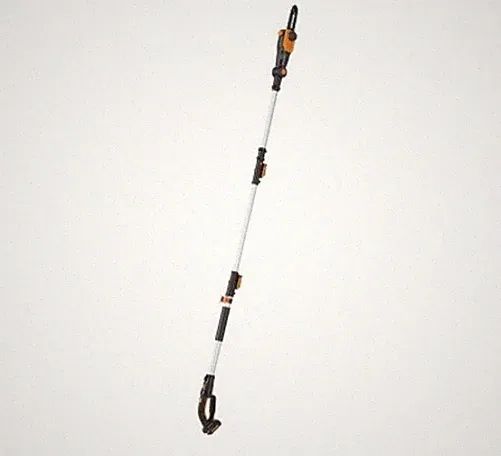 WORX WG349E Akku-Taglierina mit Bürste 20 V 2 Ah Akku & Ladegerät